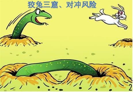 狡兔三窟打一准确生肖详细解答、全面解答解释落实