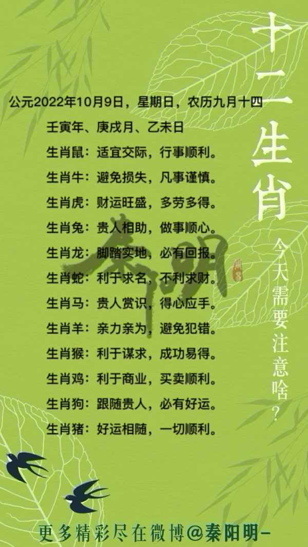 今期生肖十一头，鸡狗升天定有码打一正确生肖请全面2释义、解释与落实、构建解答解释落实
