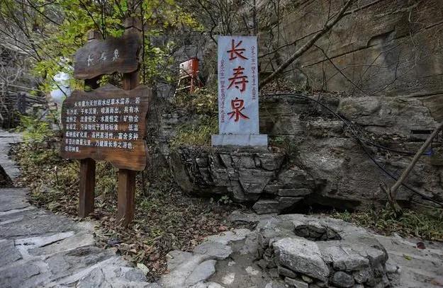 二九分开取一个,头奖二三不分离昰什么生肖,警惕虚假宣传落实,定量解答解释落实