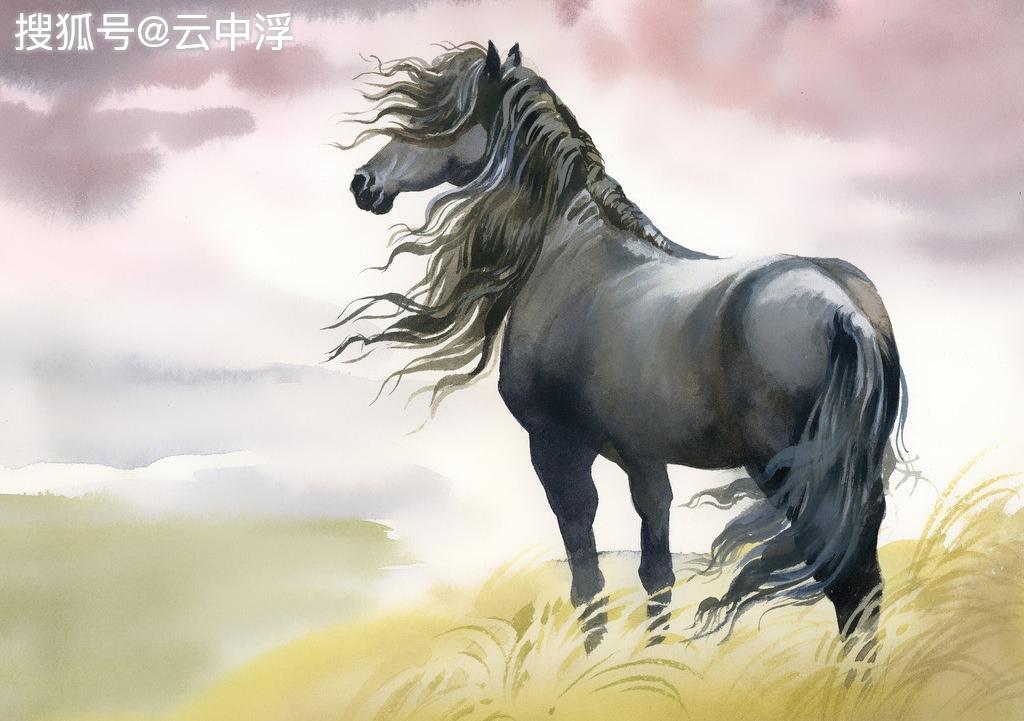 马走牛来是时机不为小利误前途是什么生肖详细解答、定量解答解释落实