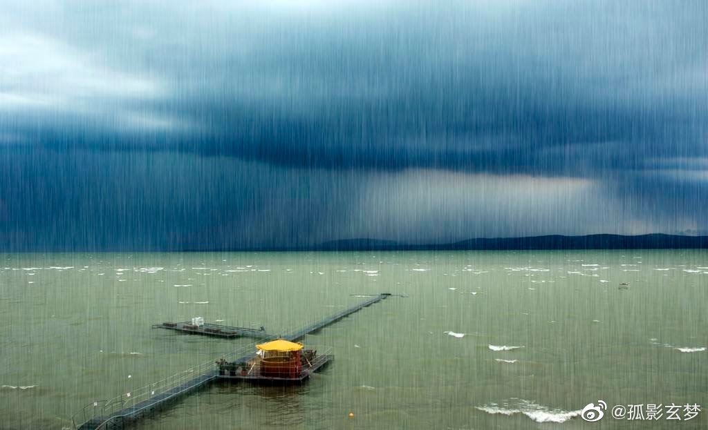 百里挑一世无二，风雨凄凄最孤独打一准确生肖的全面释义、解释与落实、实证解答解释落实