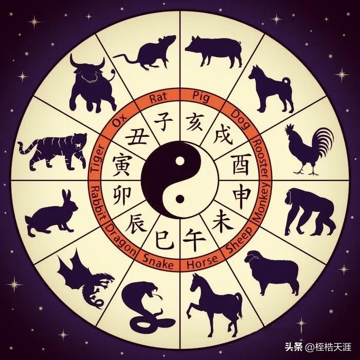 阴阳之变打一动物生肖,警惕虚假宣传落实,科学解答解释落实
