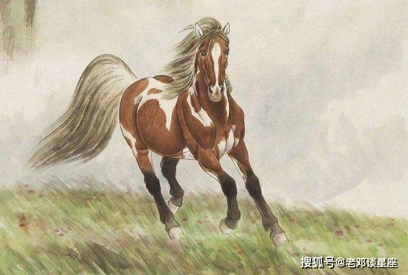 马走牛来是时机不为小利误前途是什么生肖详细解答、定量解答解释落实