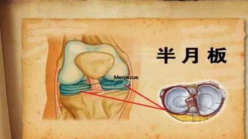 一统三军的生肖最佳答案，详细解答、构建解答解释落实