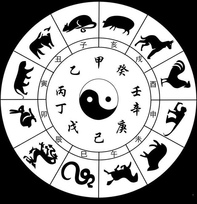 阴阳之变打一动物生肖,警惕虚假宣传落实,科学解答解释落实