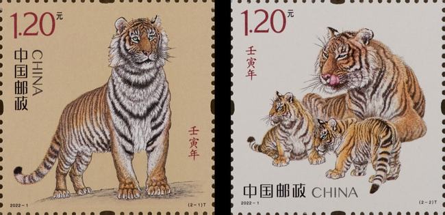 七擒七纵打一生肖是什么生肖,警惕虚假宣传落实,科学解答解释落实